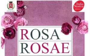 Asolo Giardini Aperti Rosa Rosae